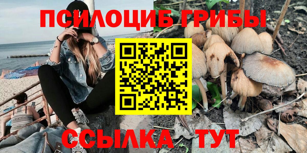 Галлюциногенные грибы Psilocybine cubensis  Вход с VPN  Усть-Джегута  Галлюциногенные грибы Psilocybine cubensis 